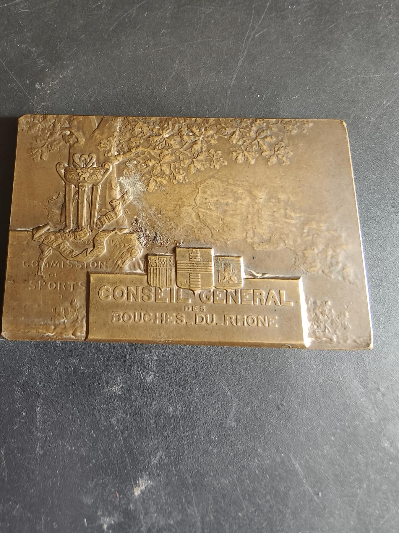 老王徽章第186期 法国罗讷河口省议会体育委员会纪念碑方形大铜章     尺寸68×44mm     重量91.1g