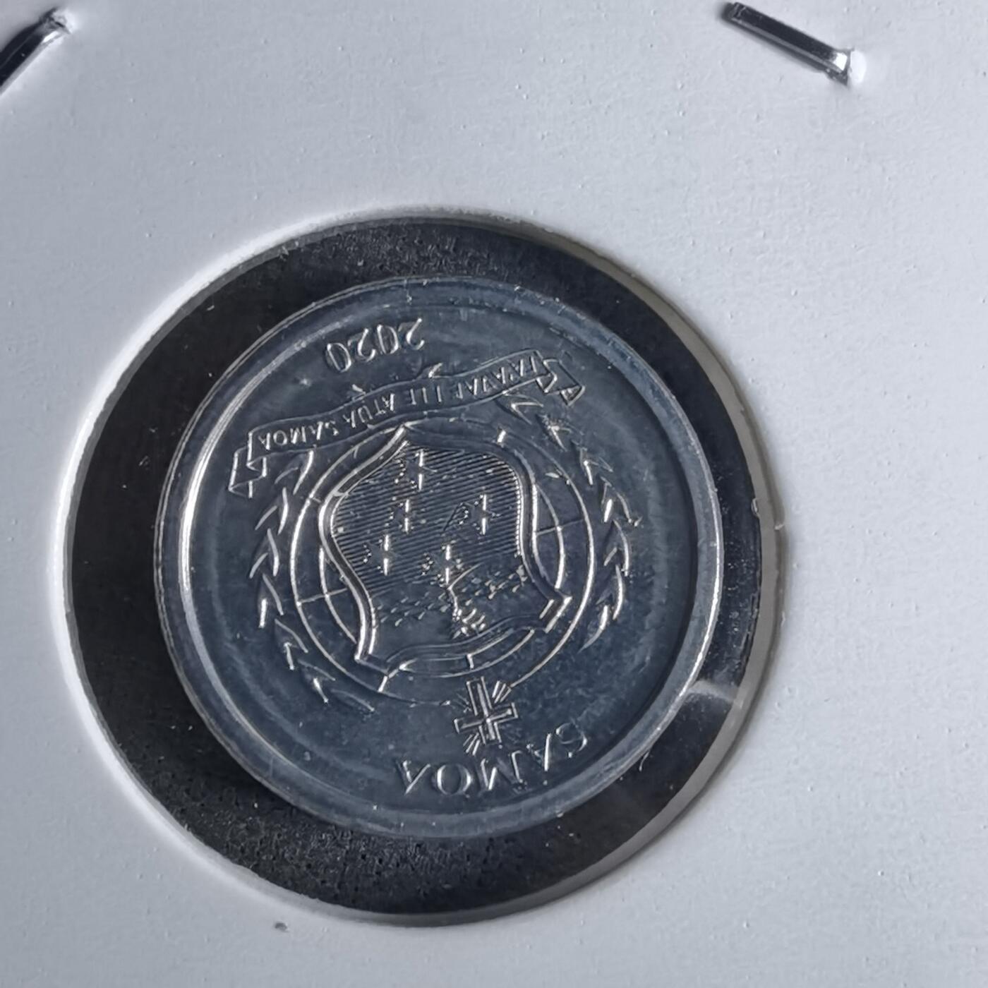 沼泽如烟--第1016场