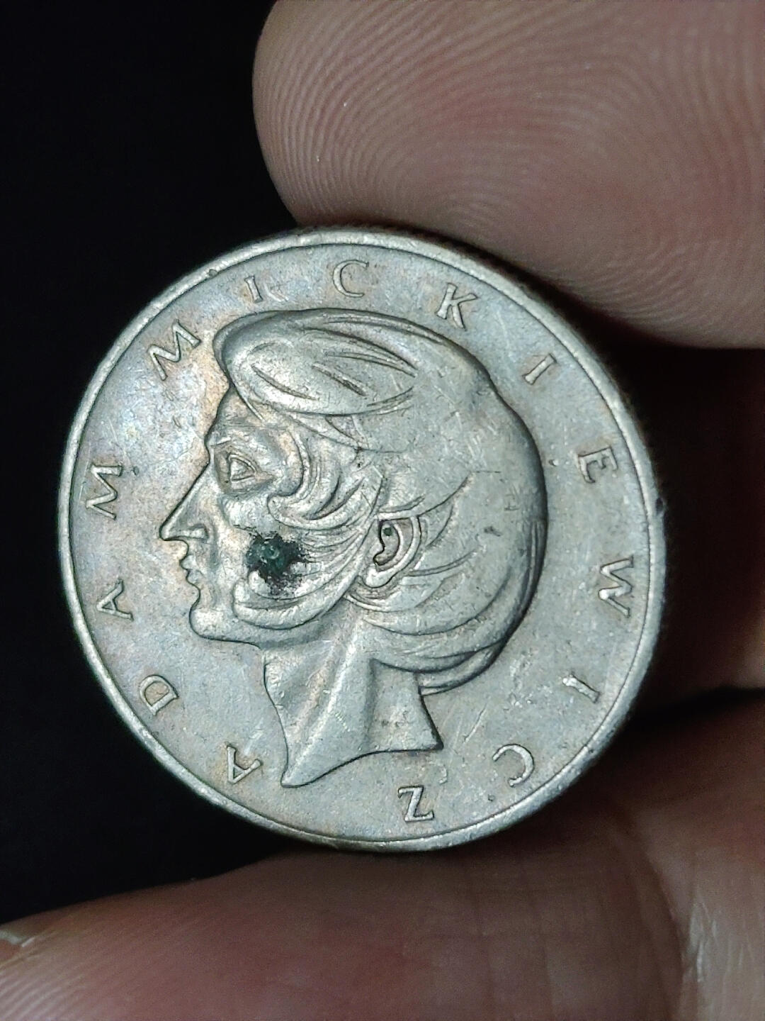 猩哥外币小铺➨【第219场】 波兰