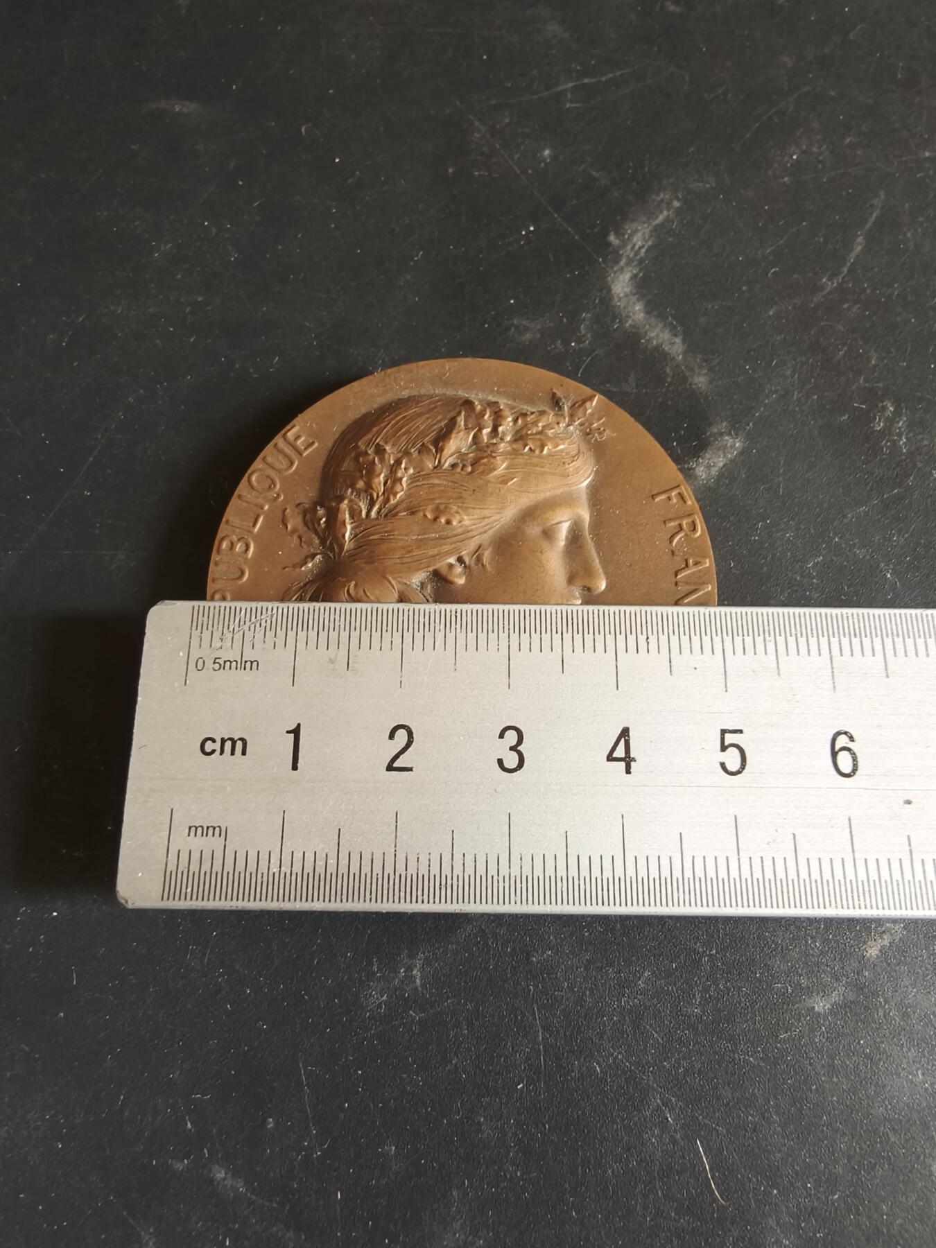 老王徽章第186期 法国参议员赠大铜章    原盒    大师杜布瓦作品    直径50mm    重量77.4g