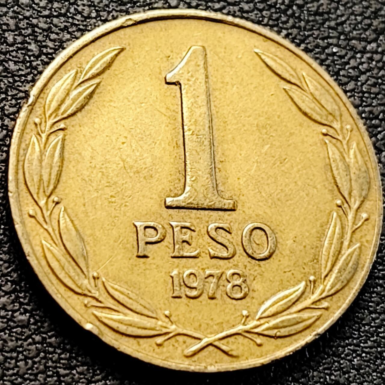 泉币菌-第205场-拍品多 请提前出价 。