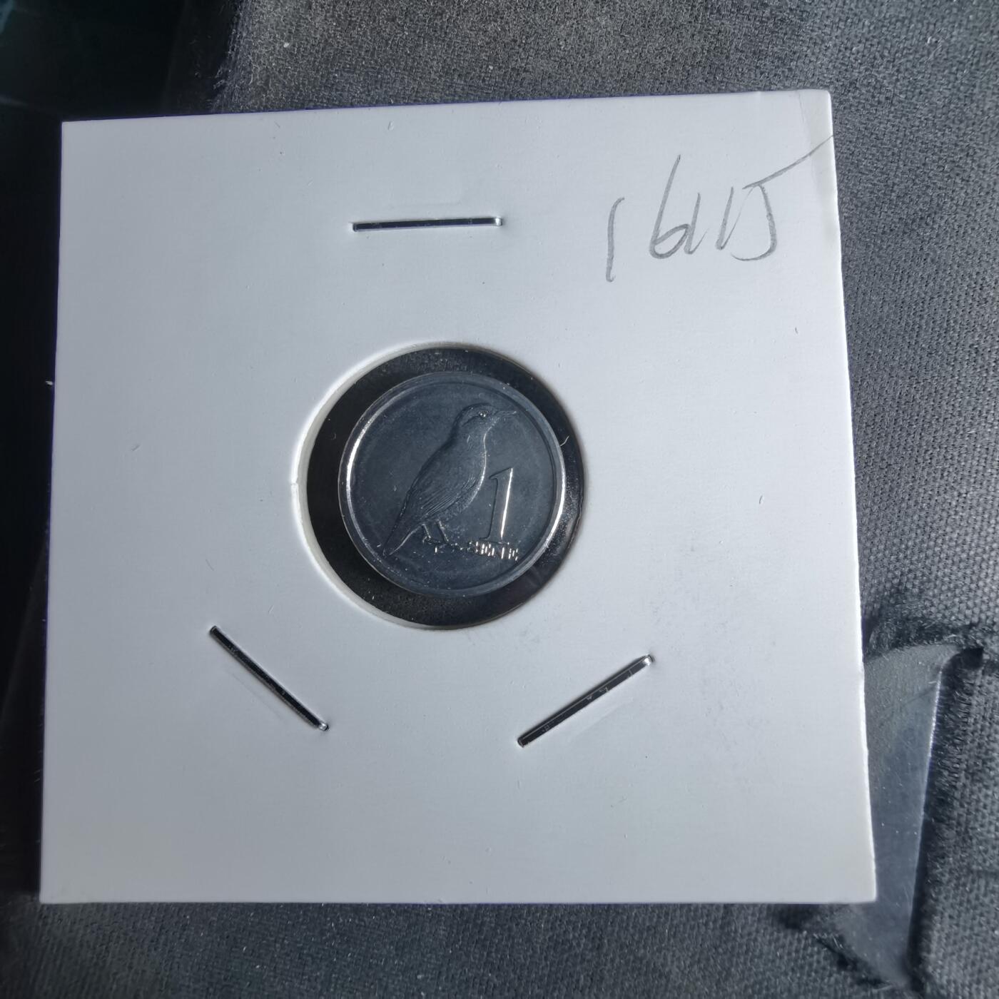 沼泽如烟--第1016场