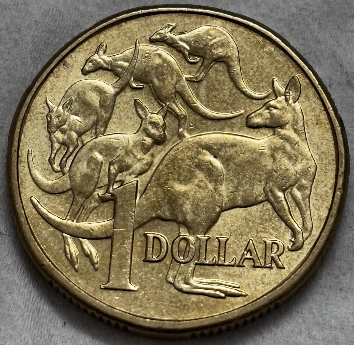 文馨钱币收藏第 296 场，长期接代拍业务  原光品相 2025 年澳大利亚 一元，查尔斯头像少见