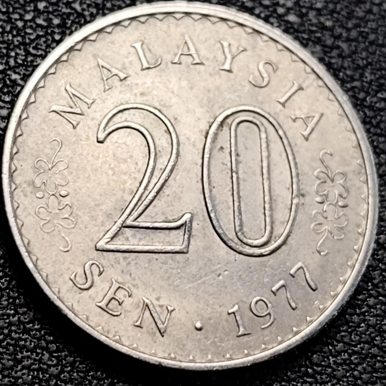 泉币菌-第205场-拍品多 请提前出价 。