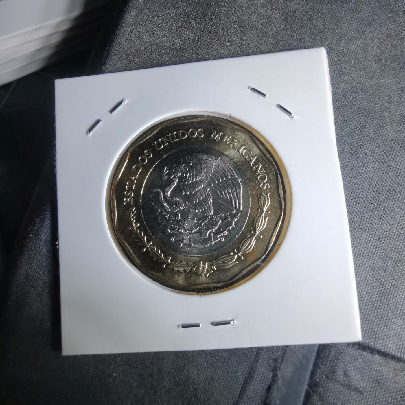 沼泽如烟--第1016场