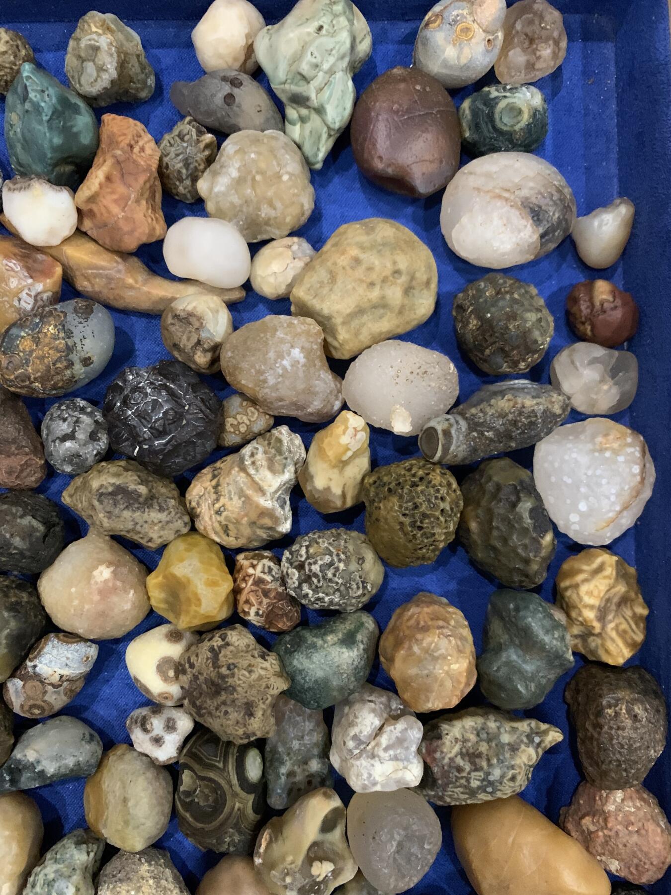 《竞宝斋》第468场 周日，周一 2场连拍 （全场包邮）欢迎送拍