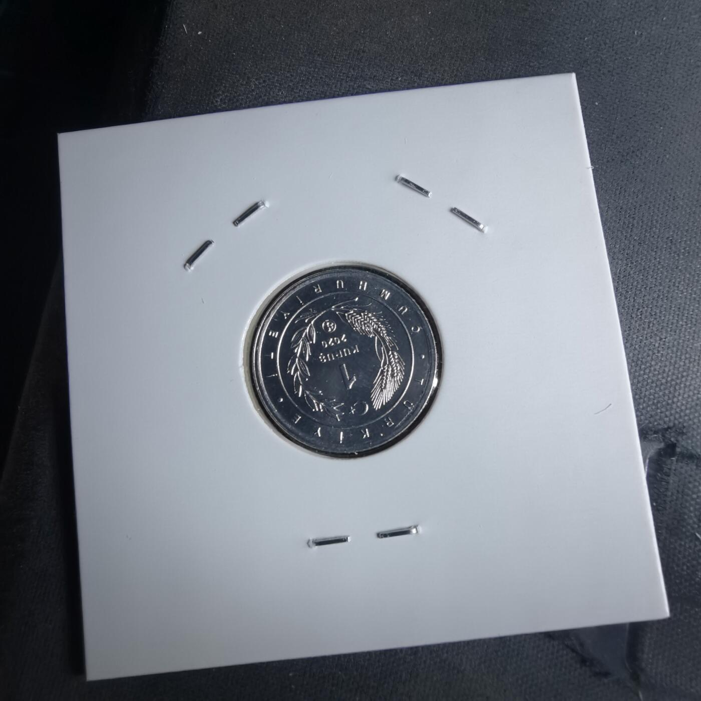 沼泽如烟--第1016场 土耳其2020年1库鲁小鸟系列纪念币 