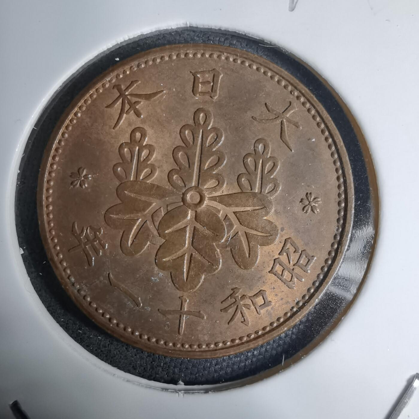 沼泽如烟--第1016场