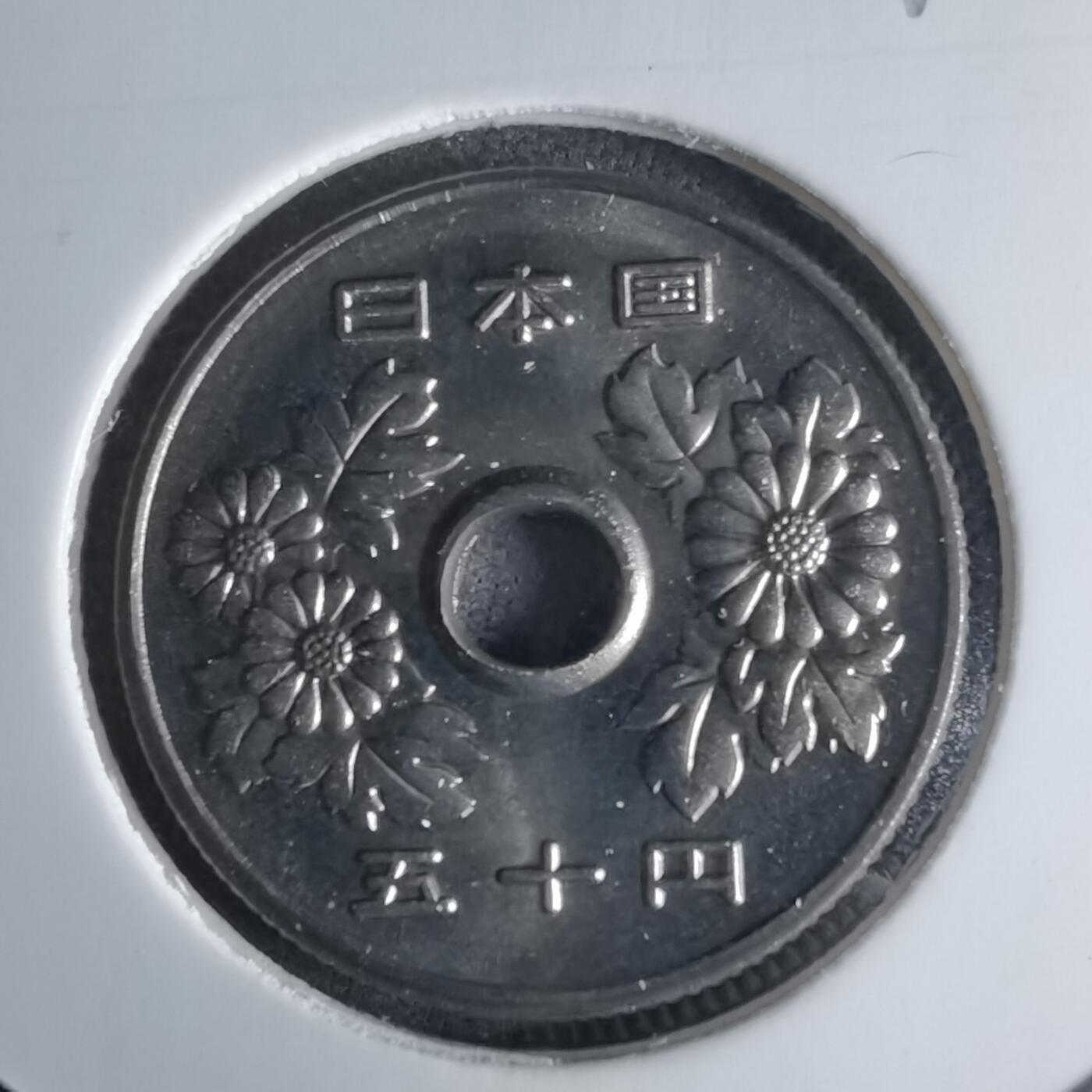 沼泽如烟--第1016场