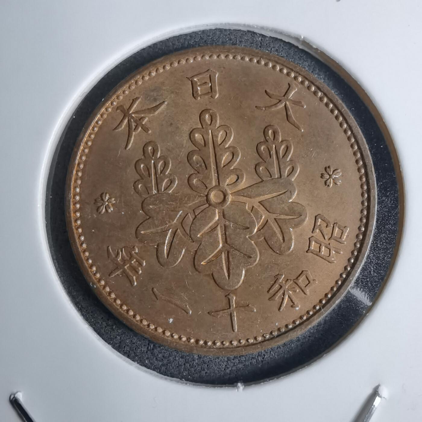 沼泽如烟--第1016场