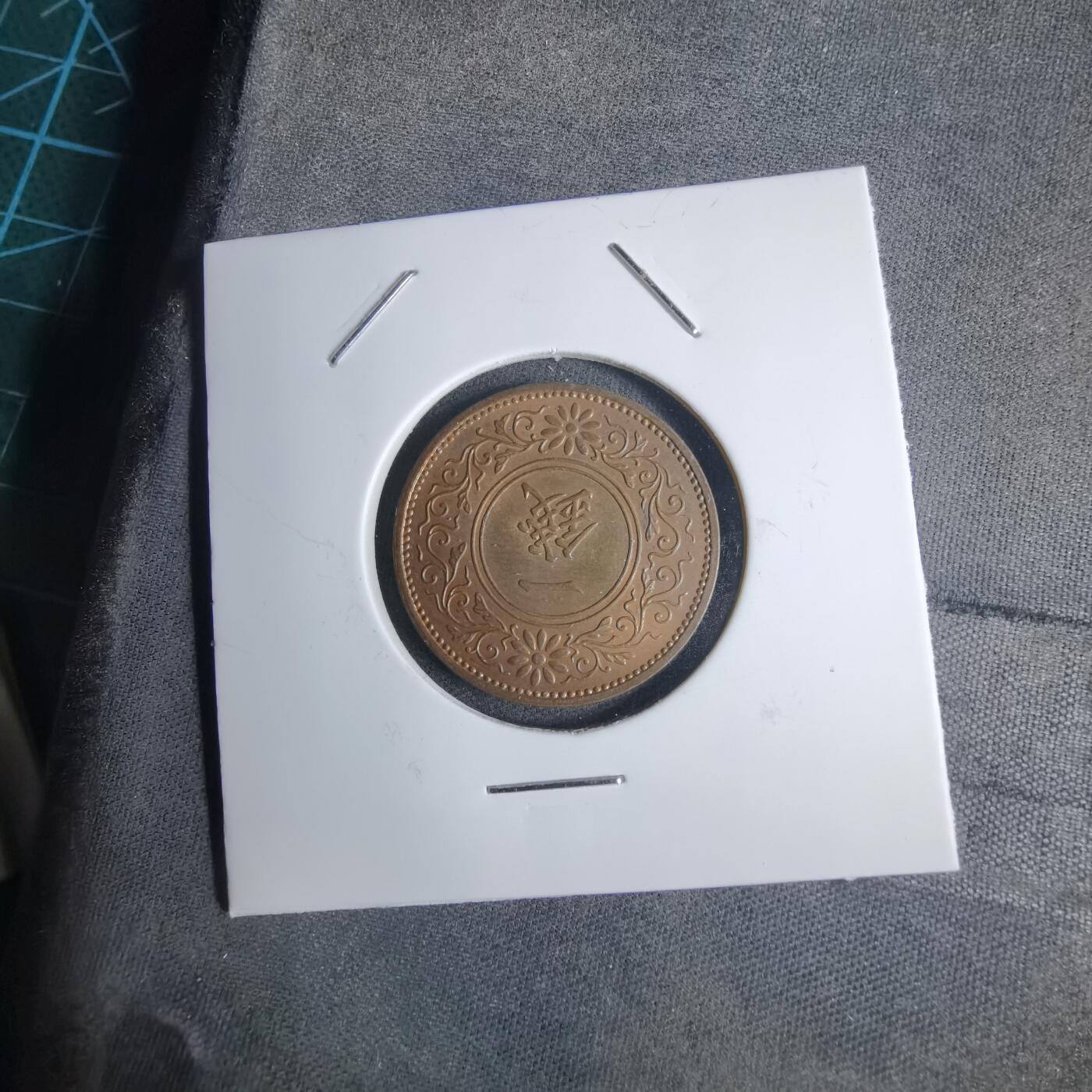 沼泽如烟--第1016场