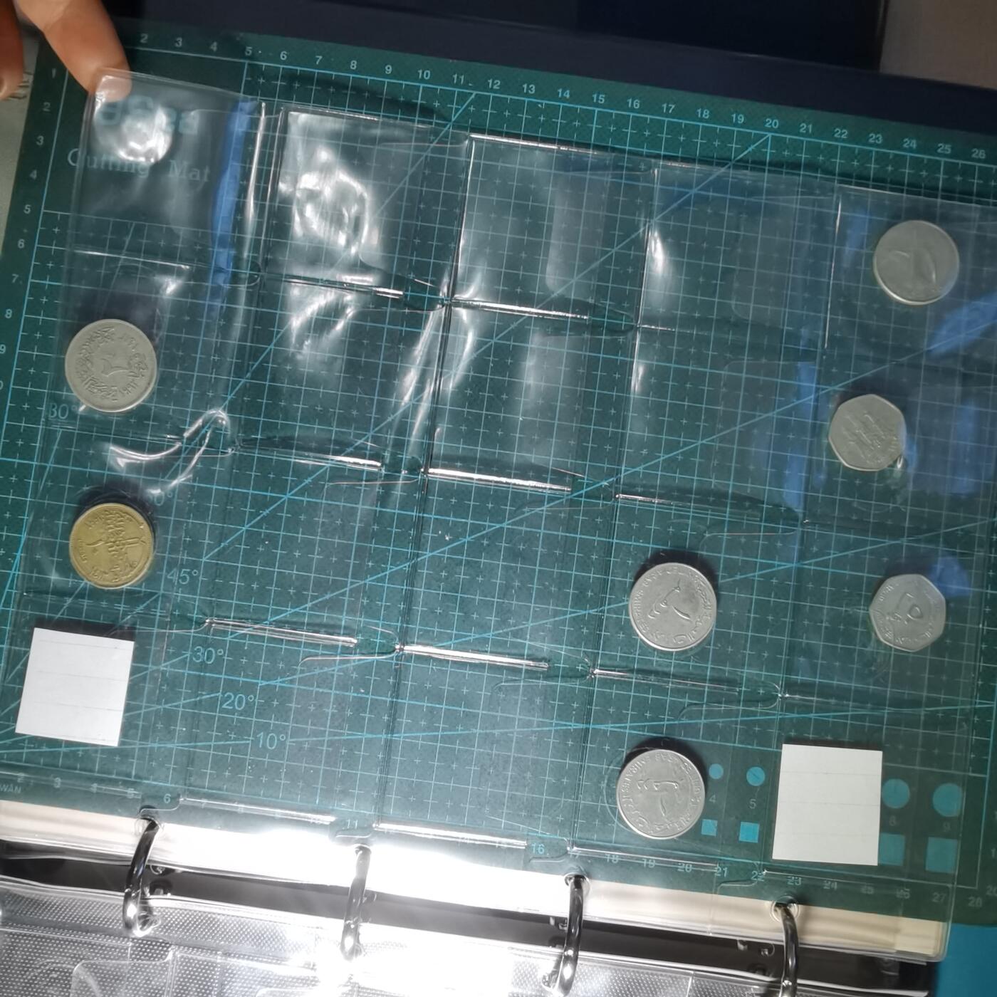 沼泽如烟--第1014场