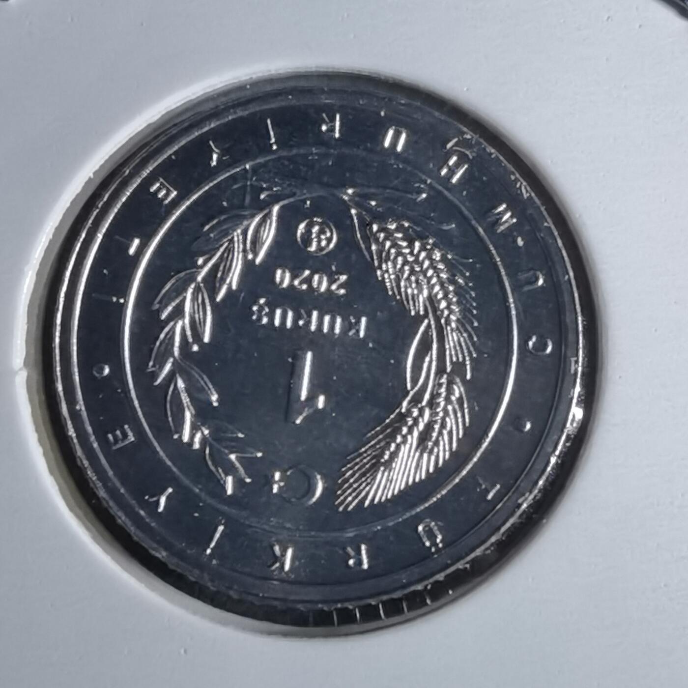 沼泽如烟--第1016场 土耳其2020年1库鲁小鸟系列纪念币