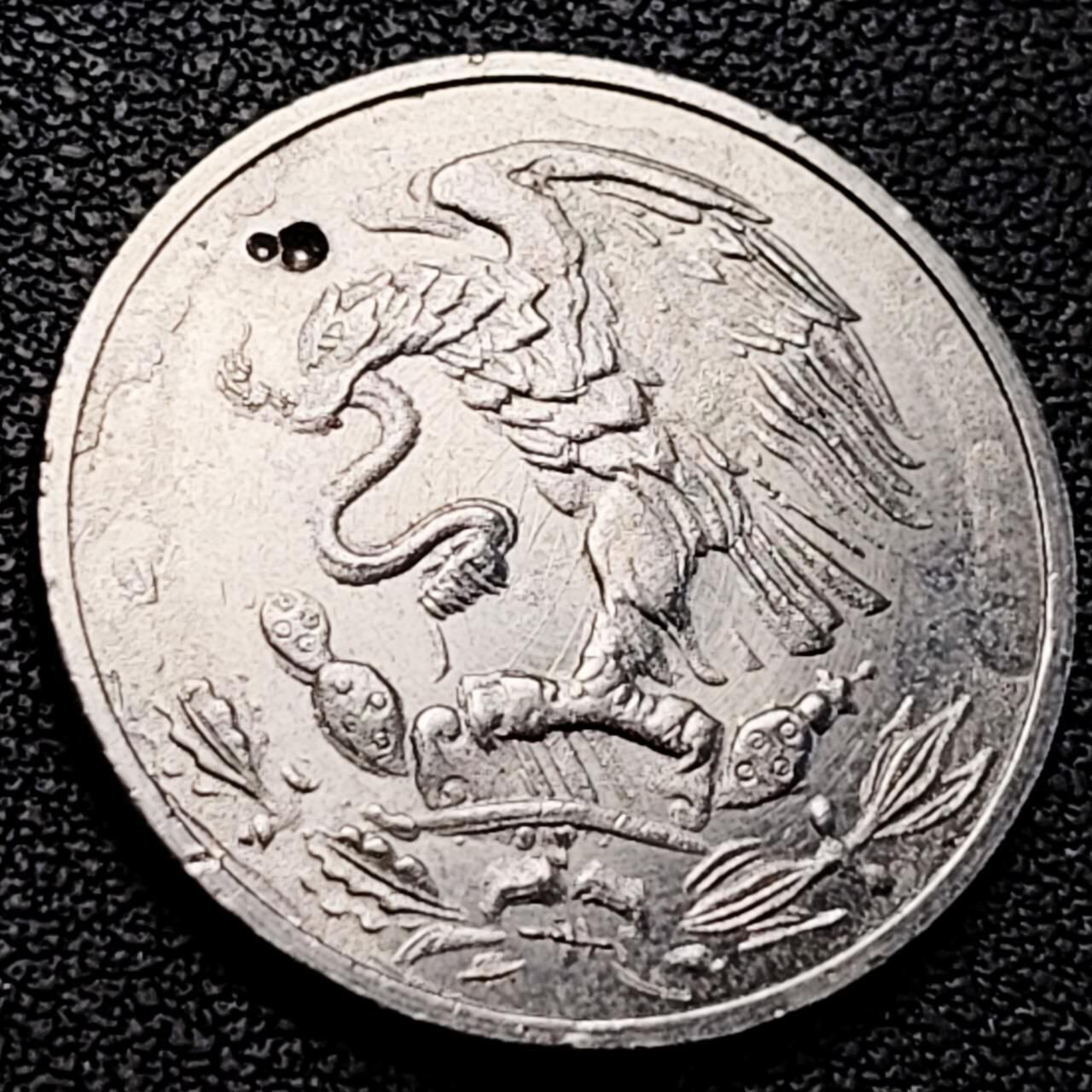 泉币菌-第205场-拍品多 请提前出价 代币