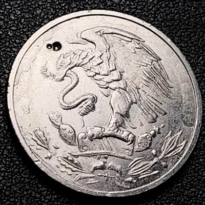 泉币菌-第205场-拍品多 请提前出价 - 代币