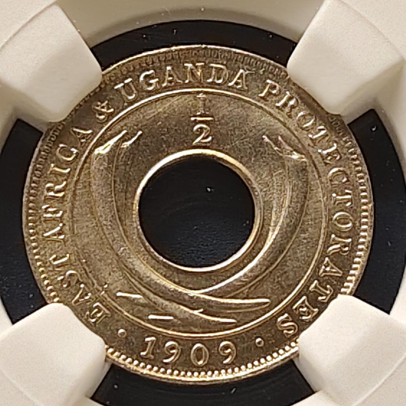 【全场包邮】纯粹捡漏拍511场 【收藏级】英属东非和乌干达保护地1909年爱德华七世1/2分-NGC MS65