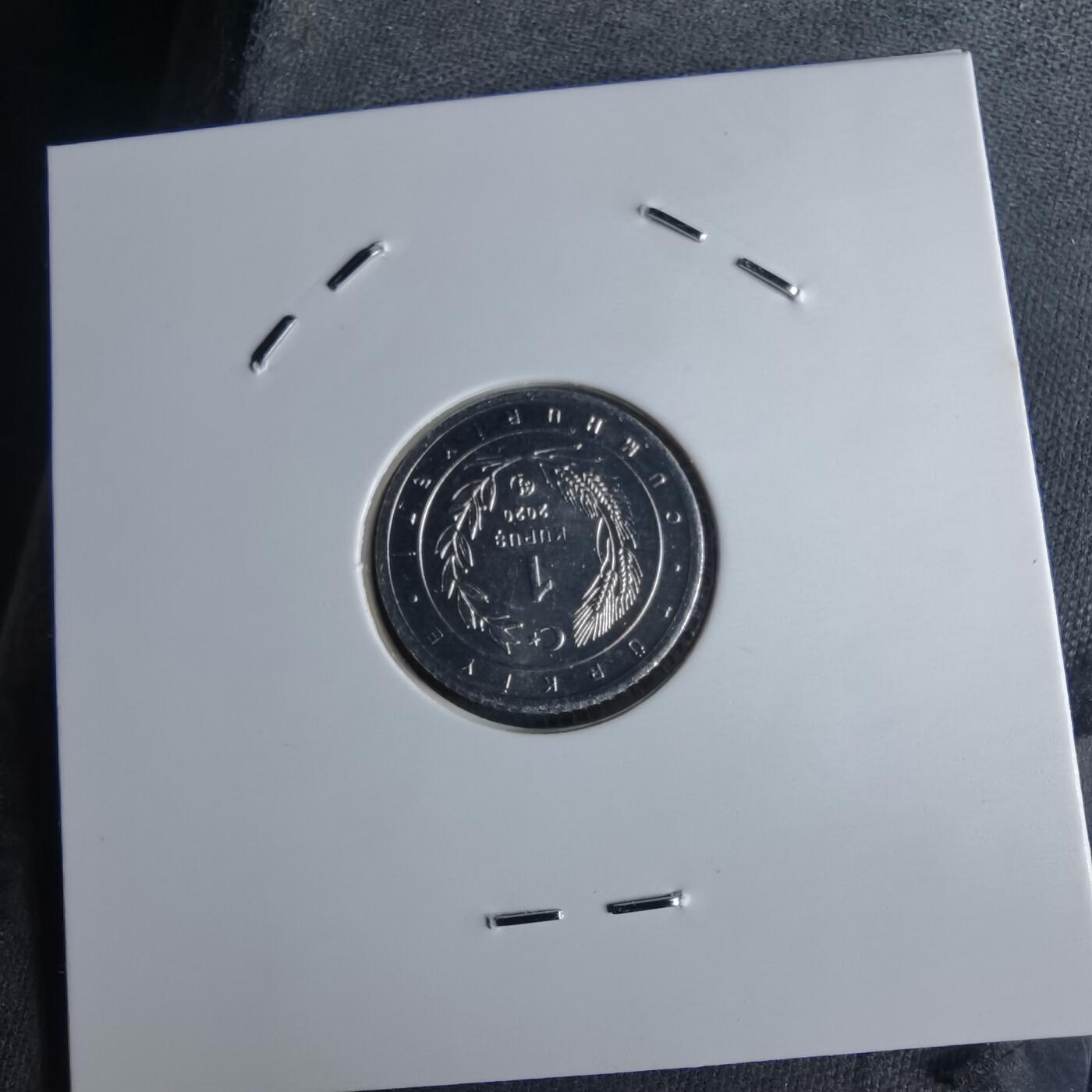 沼泽如烟--第1016场 土耳其2020年1库鲁小鸟系列纪念币