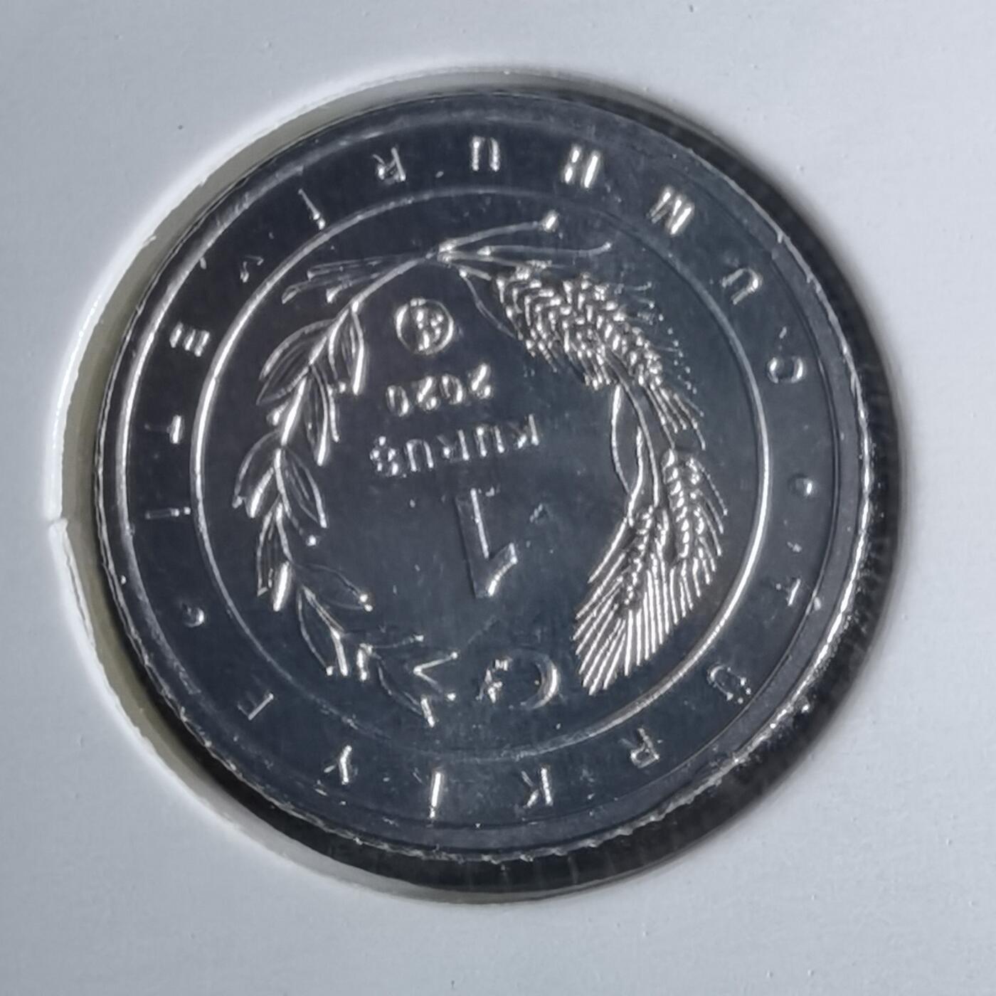 沼泽如烟--第1016场 土耳其2020年1库鲁小鸟系列纪念币