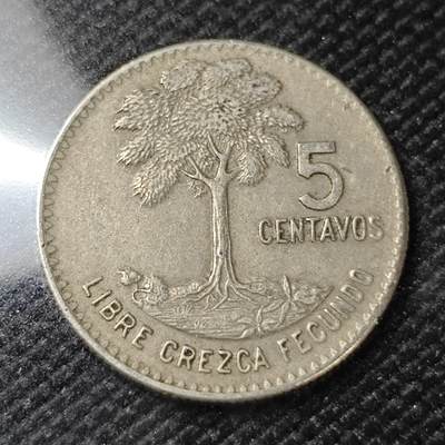 KK钱币收藏小铺   第404期 2月预留时间 周末发货 -  1968危地马拉5分