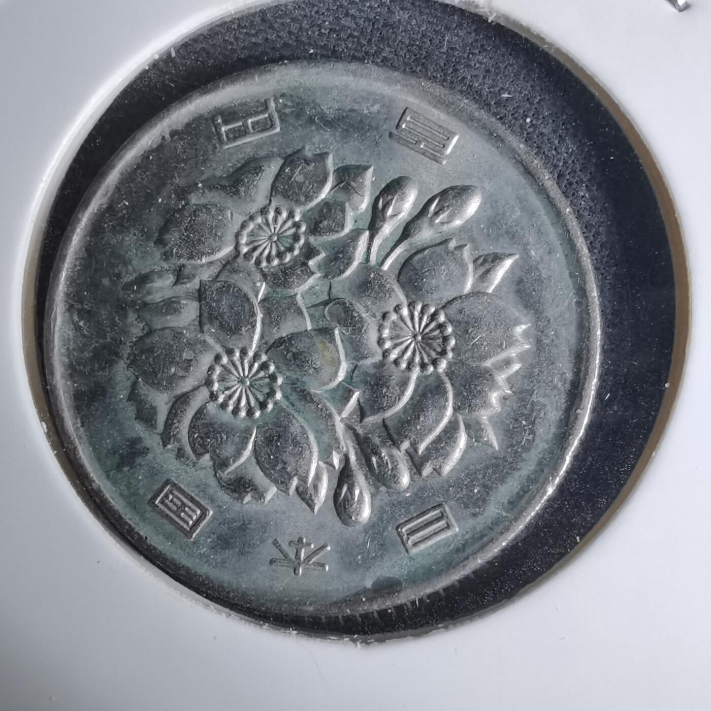 沼泽如烟--第1016场