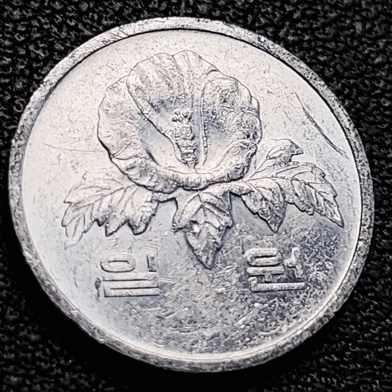 泉币菌-第205场-拍品多 请提前出价 。