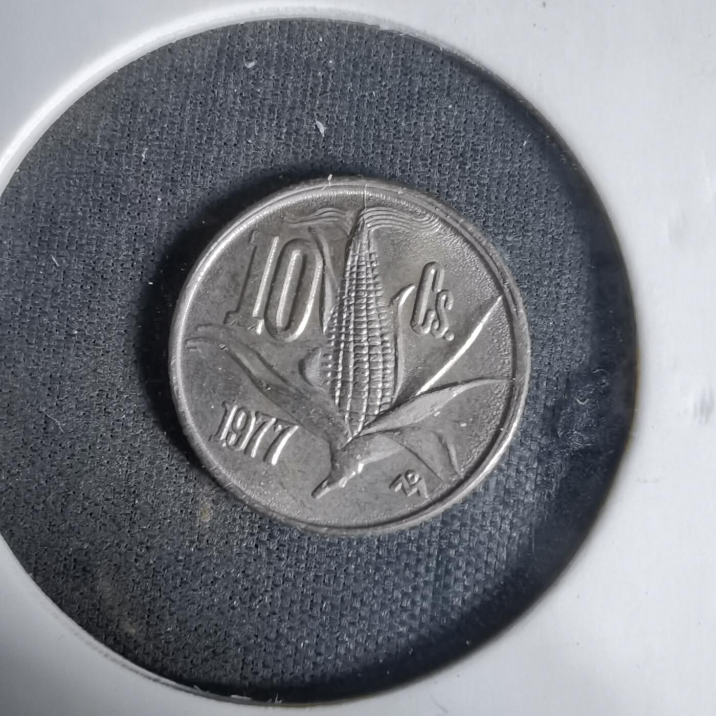 沼泽如烟--第1017场 墨西哥1977年十分