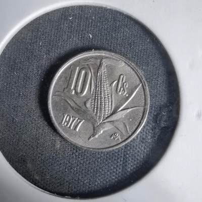 沼泽如烟--第1017场 - 墨西哥1977年十分