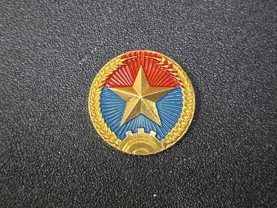 西秦中古拍卖第八十期  - 越南南方游击队帽徽 中国代工版