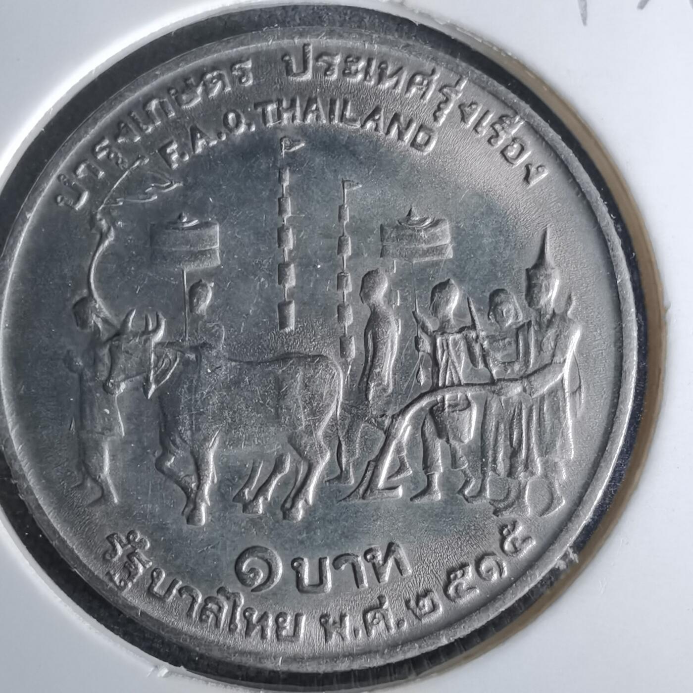 沼泽如烟--第1017场 泰国