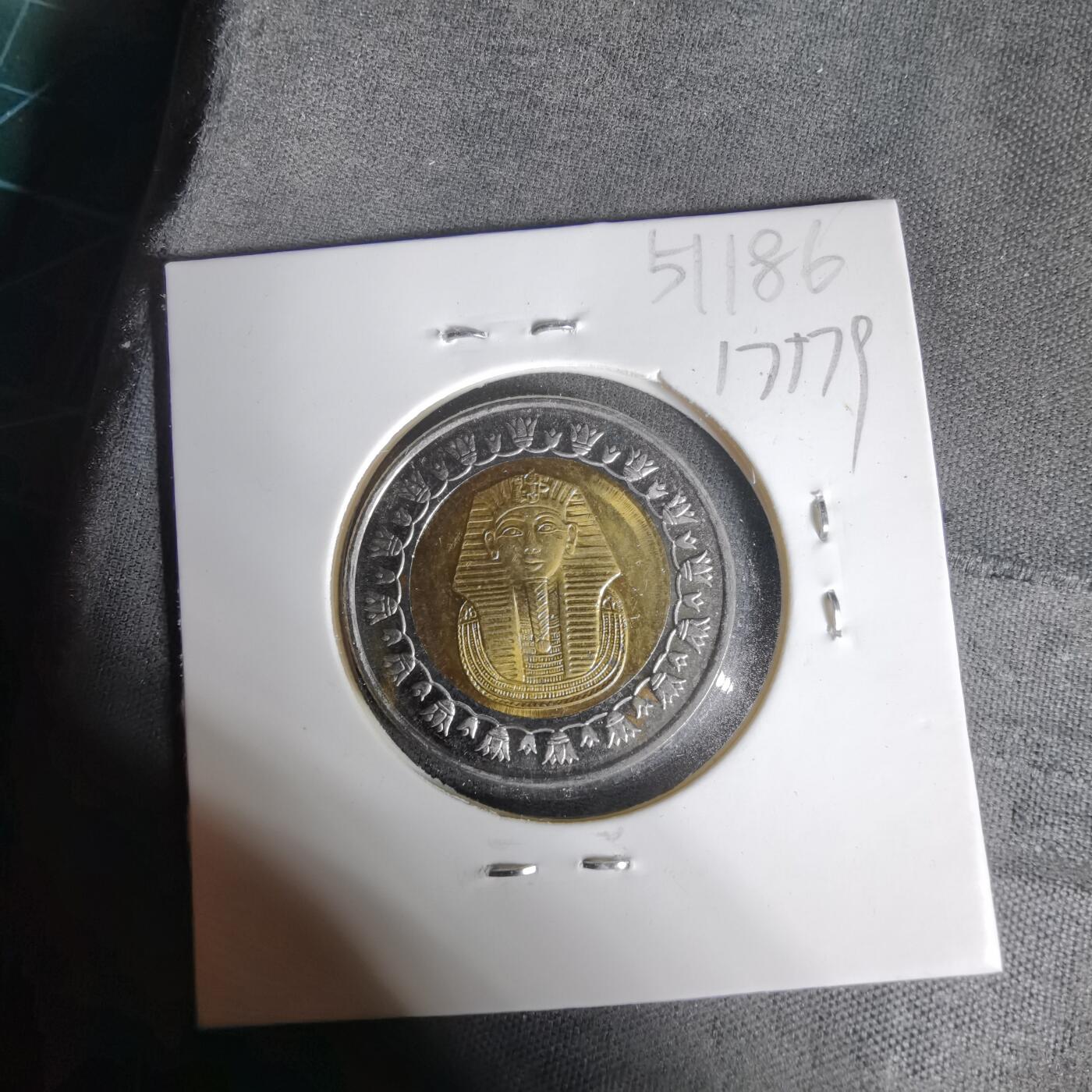 沼泽如烟--第1017场 埃及