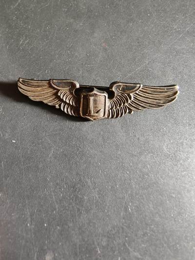 老王徽章第186期 - 美国二战陆军航空兵飞行联络员技能章    2英寸   925银    8g     
