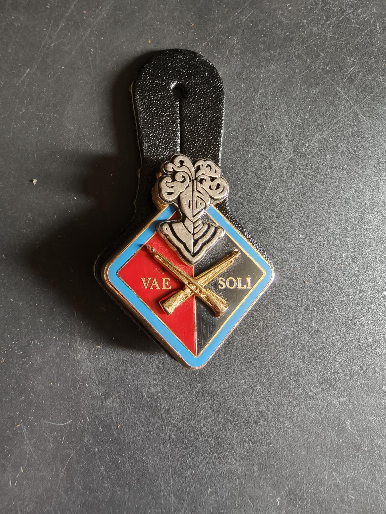 老王徽章第186期 法国陆军第1战斗训练团证章