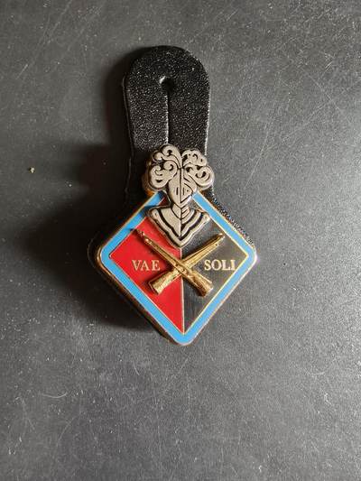 老王徽章第186期 - 法国陆军第1战斗训练团证章