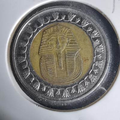 沼泽如烟--第1017场 - 埃及