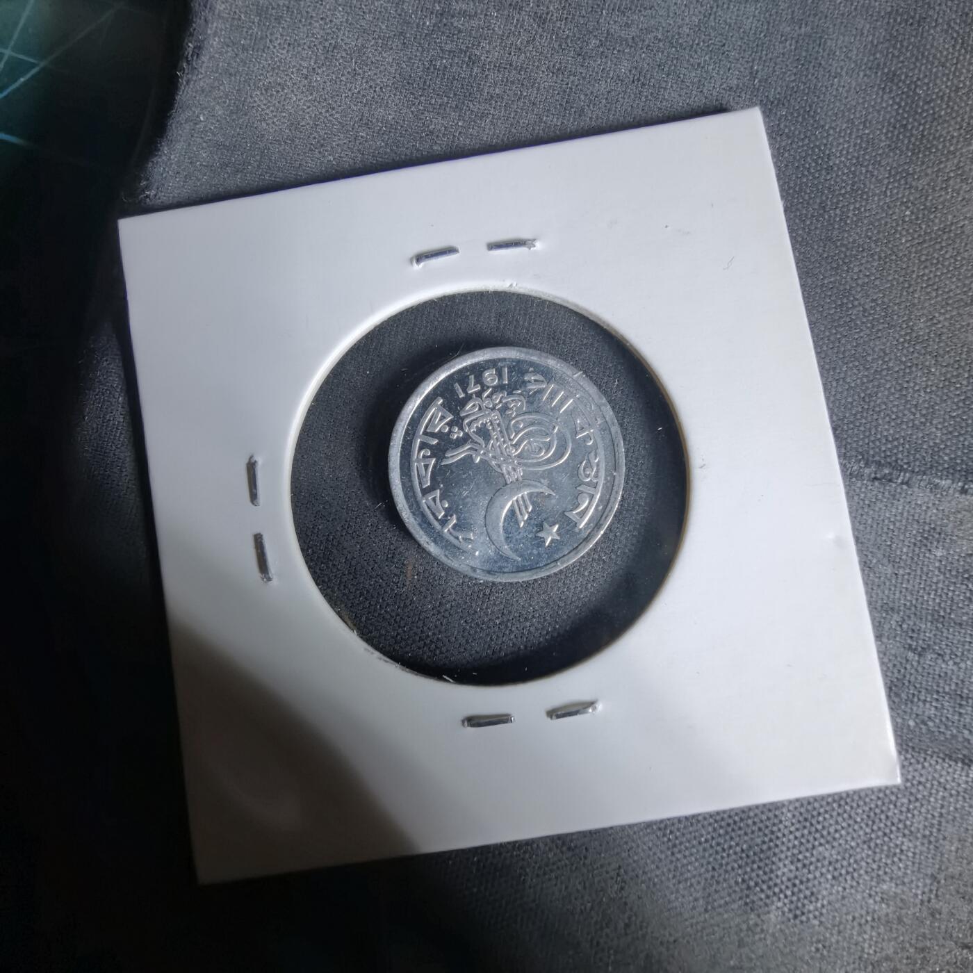 沼泽如烟--第1017场