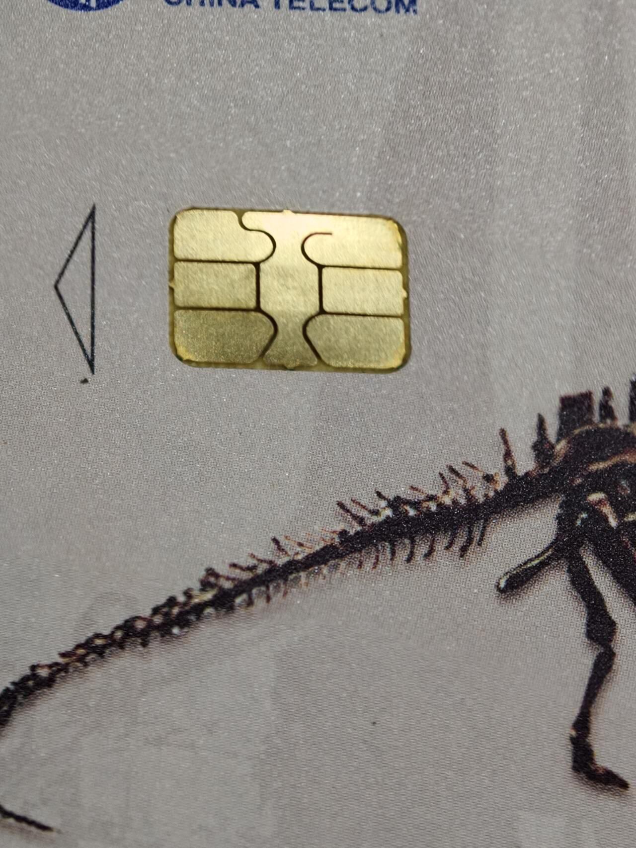公藏第62期裸卡拍卖 电信IC新卡（IC-51   中华恐龙）5全无封套广东版，芯片光亮，卡品好。