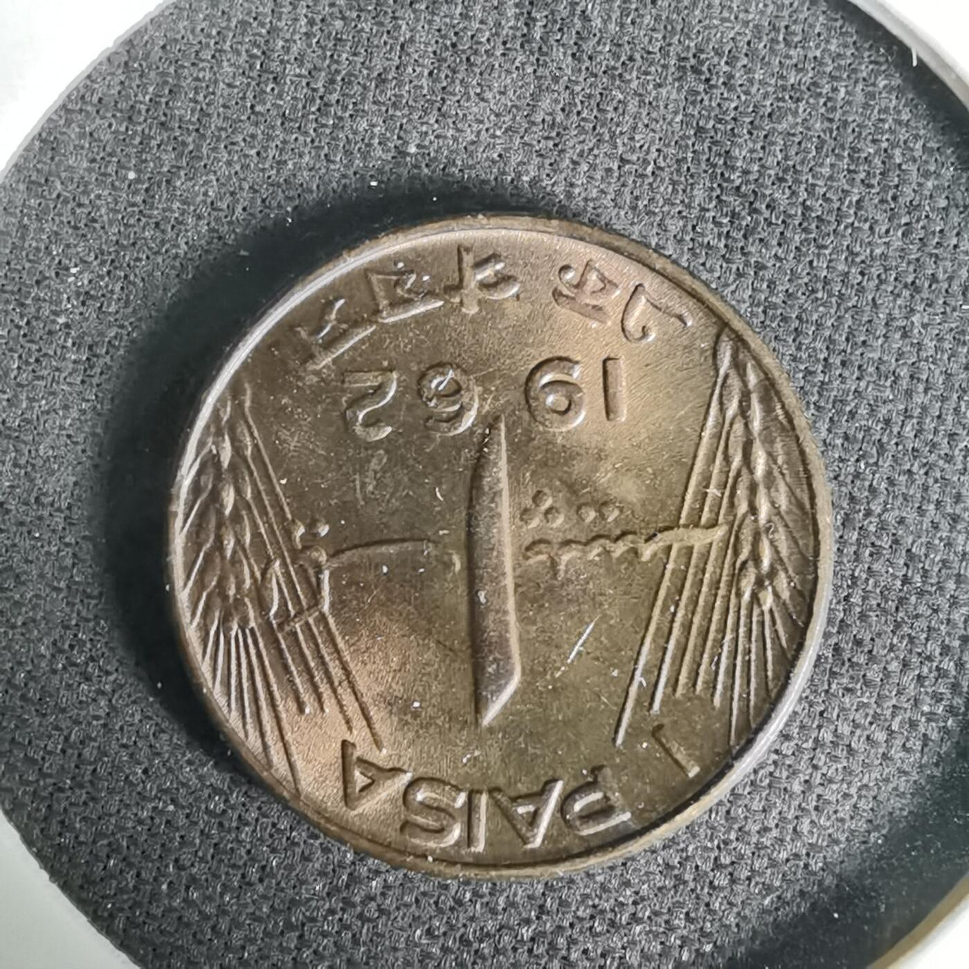 沼泽如烟--第1017场