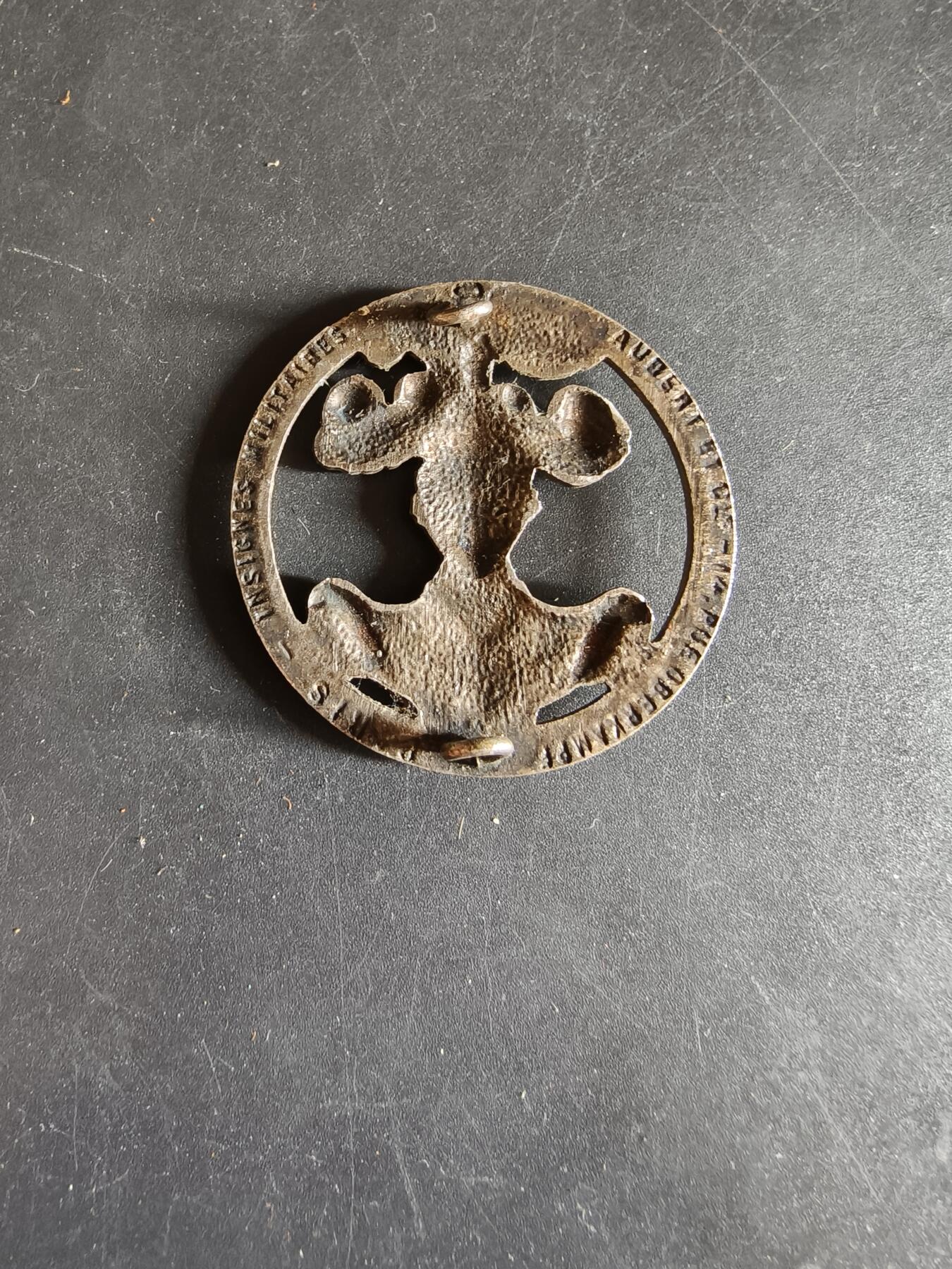 老王徽章第186期 法国装甲兵贝雷帽徽