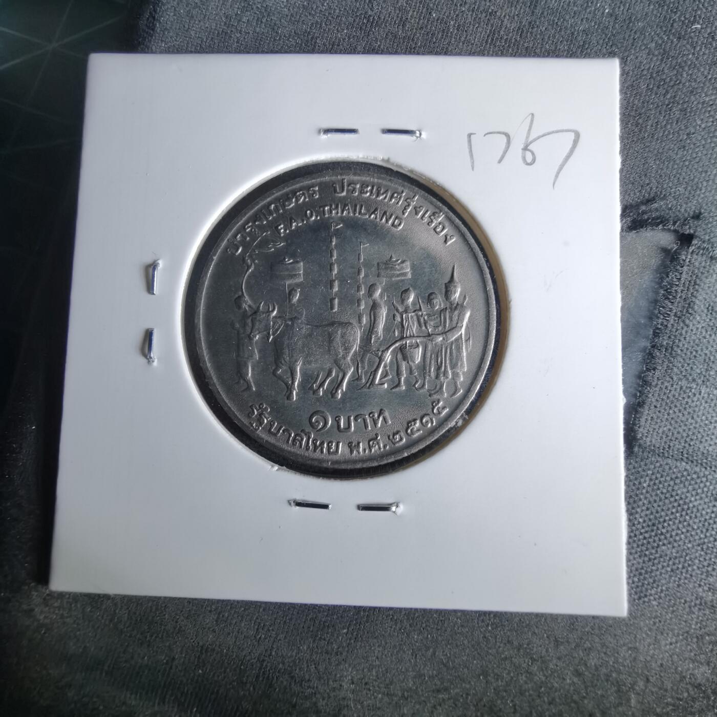 沼泽如烟--第1017场 泰国