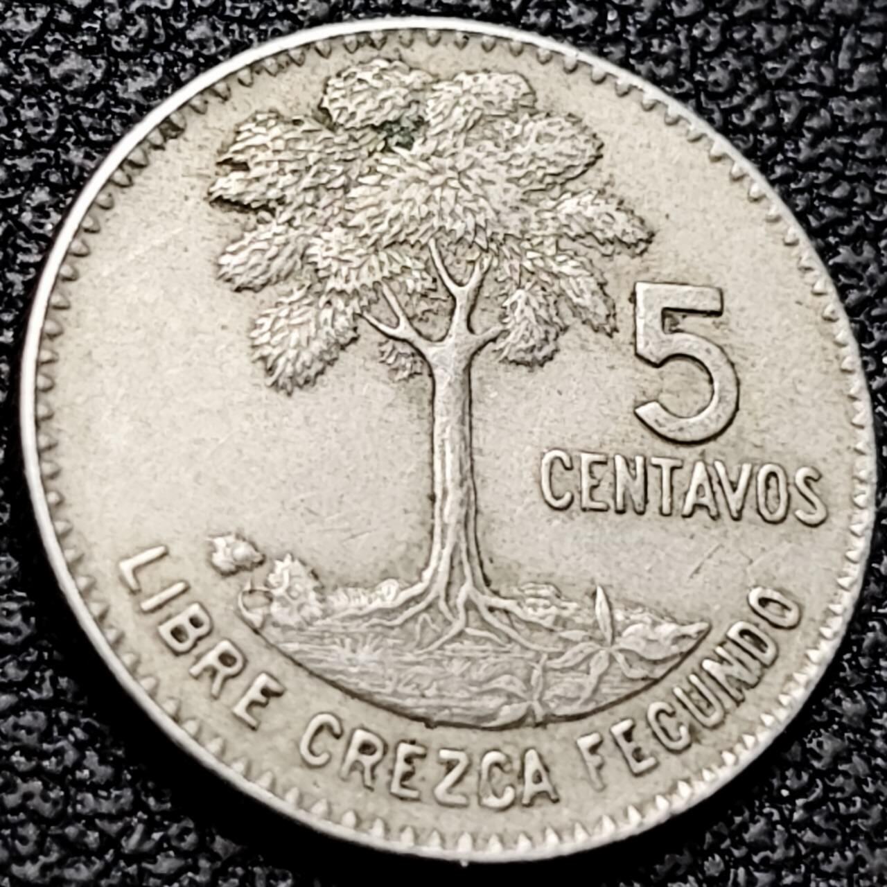 泉币菌-第206场-拍品多 请提前出价 。