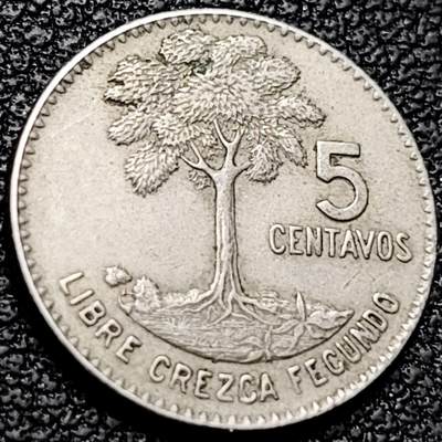 泉币菌-第206场-拍品多 请提前出价 - 。