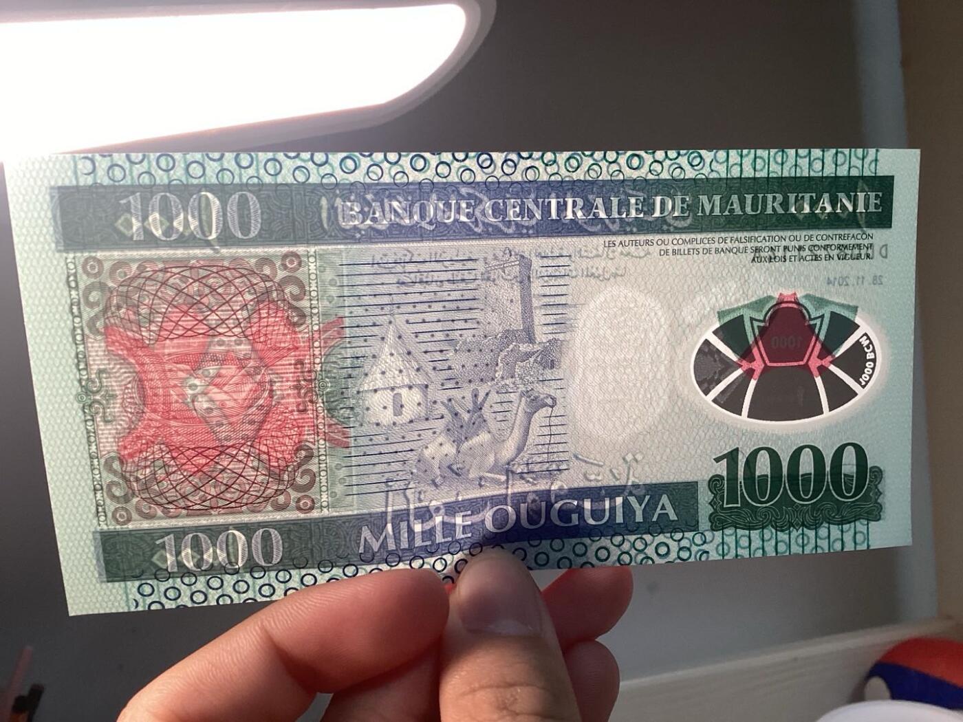 毛里塔尼亚外币全新保真 尾冠A 同月同日稀有款500纸币1000塑料钞对钞