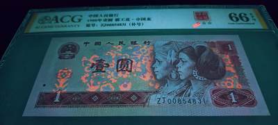 印刷错币801ZJ中国龙霸王花补号标十