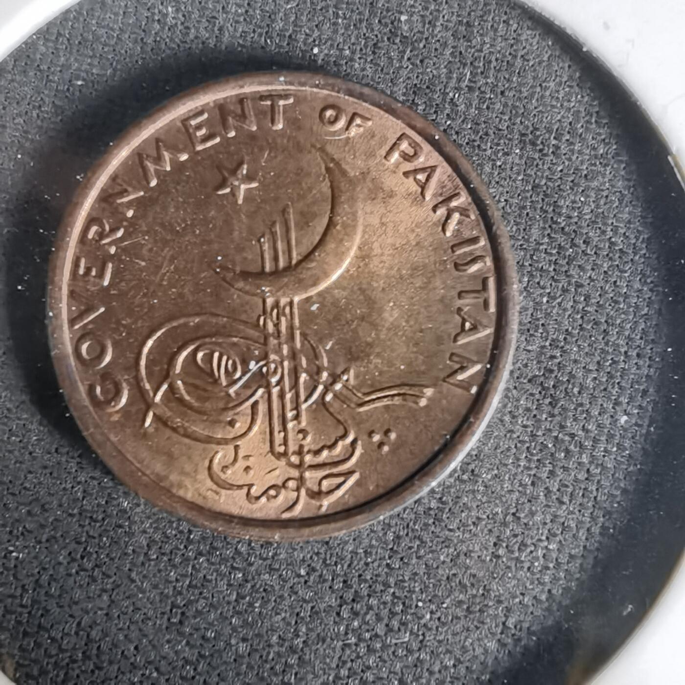 沼泽如烟--第1017场