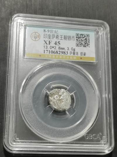 天下钱庄专场欢迎参拍 - 萨希王朝银币