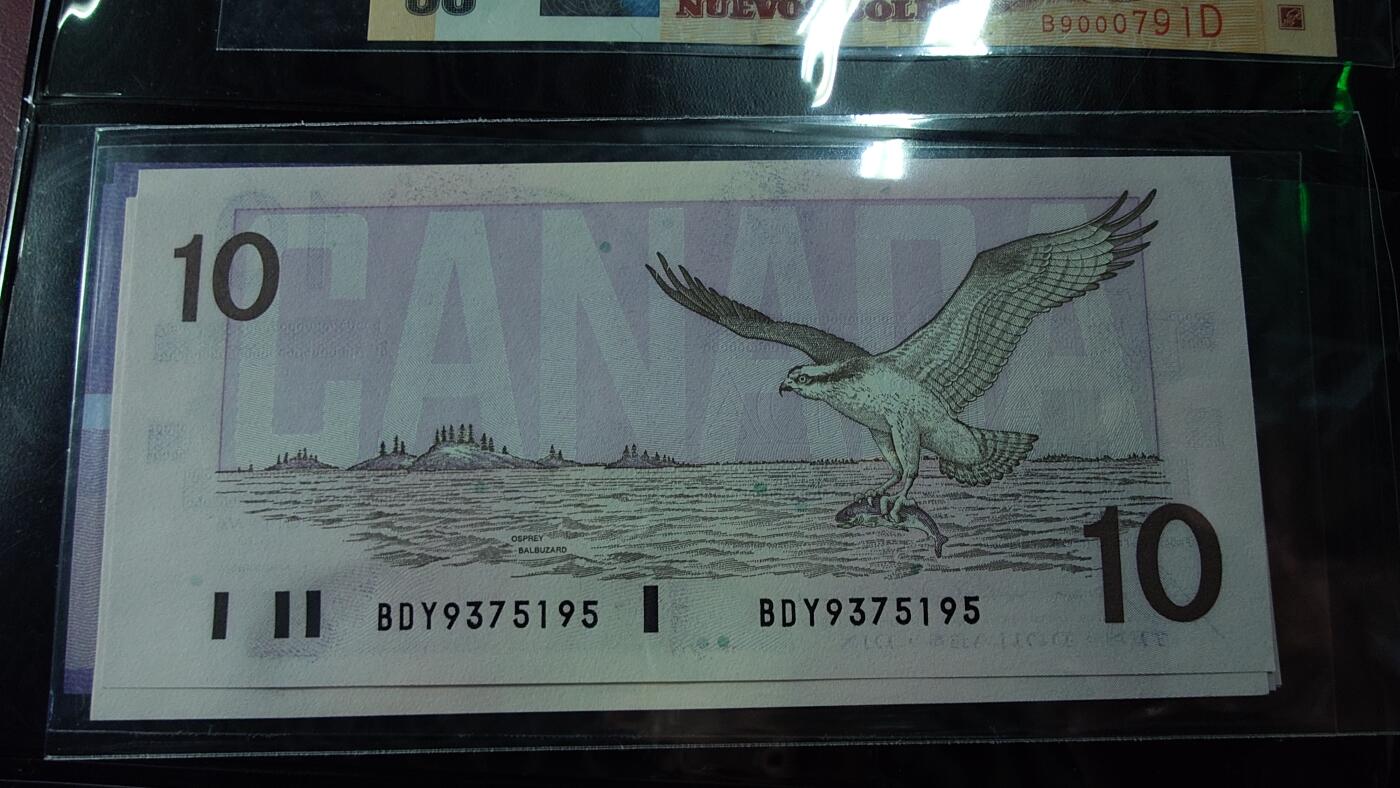 世界钱币～微拍第238期暨2026年第19期  部分尾货整理陆续低价起拍清仓