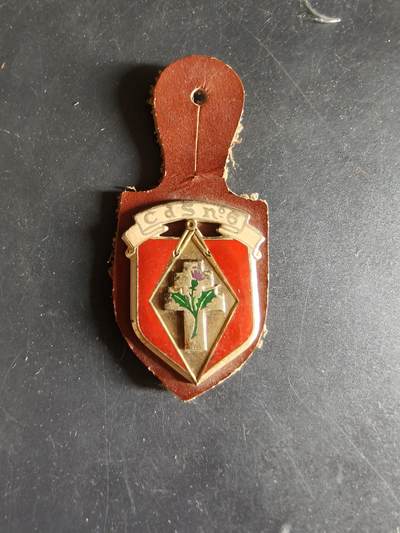 老王徽章第186期 - 法国陆军第6选拔中心证章