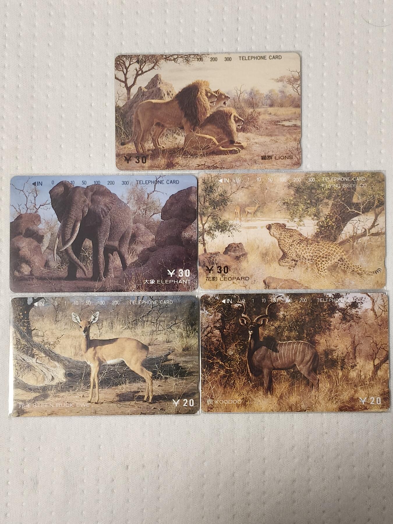 易卡拍卖第81期 四川：珍稀动物。（精品地方卡系列）易卡五星⭐️标。如图所示！