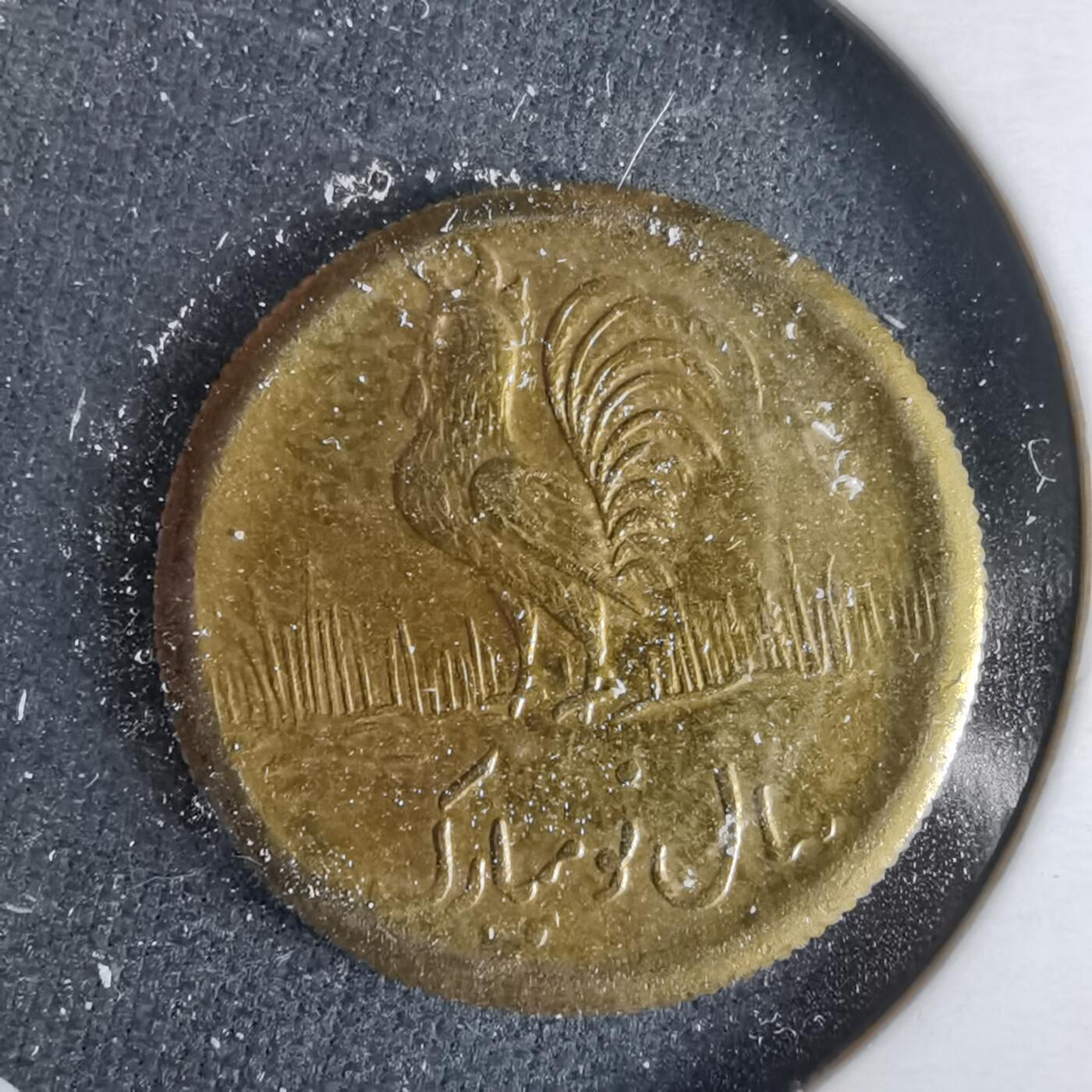 沼泽如烟--第1017场 伊朗代币