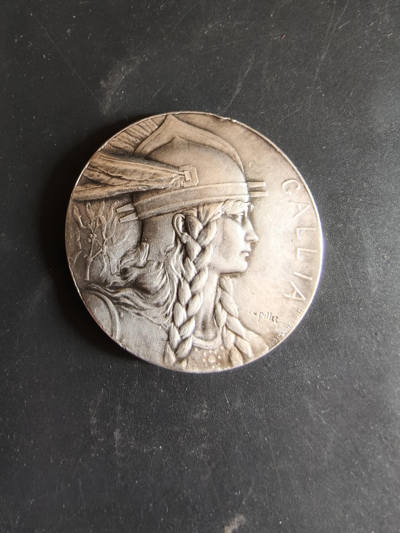 老王徽章第186期 法国洛什农业竞赛镀银大铜章    正面为高卢人形象    直径45mm    重量45g